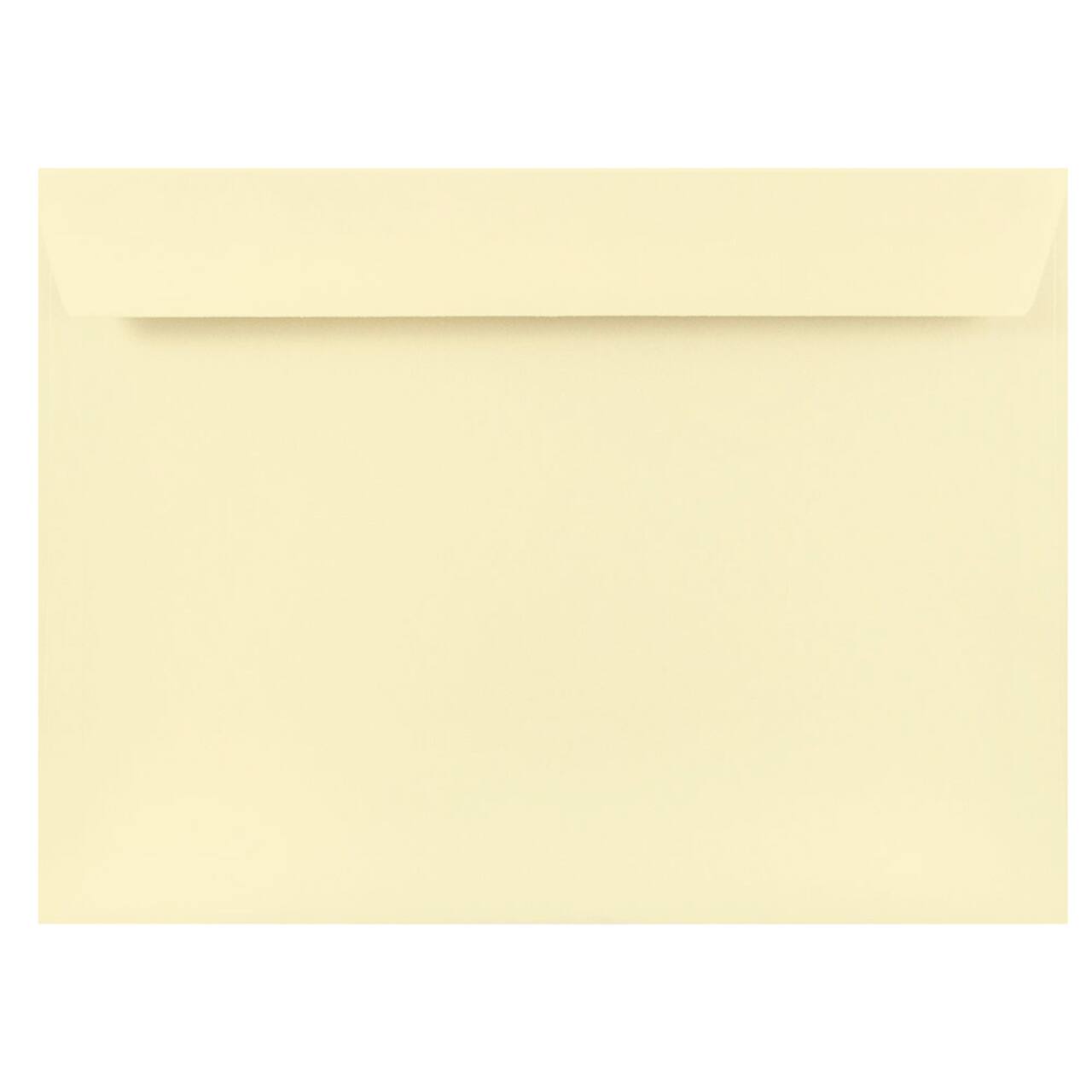 JAM Paper Strathmore 9" x 12" Booklet Wove Envelopes, 25ct.